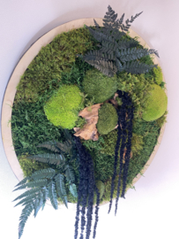 Mos schilderij rond  (1)