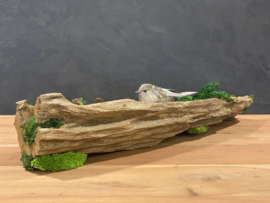 Boomstam tafel decoratie