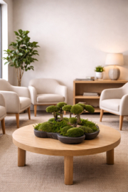 Organische schaal Mosboompjes (zwart)