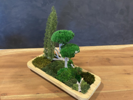 Naturel houten schaal (boompjes)
