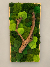 Mosschilderij - Natuurlijk reliëf