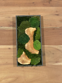 Mosschilderij rechthoek (1)