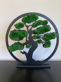 De Levensboom (bolmossen)