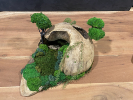 Decoratieve (halve) houten bol (1)