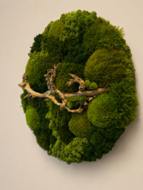 Mosschilderij - Green Forest (2)