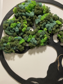 Tree of Life