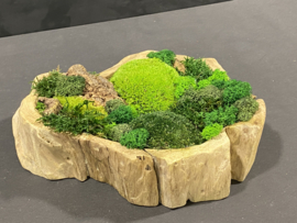 Robuust houten mosschaal