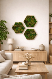 Mosschilderij - Hexagon set van drie