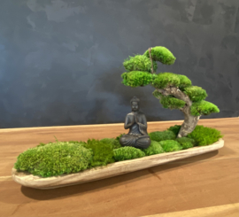 Naturel houten schaal met mosboompje (boedha)
