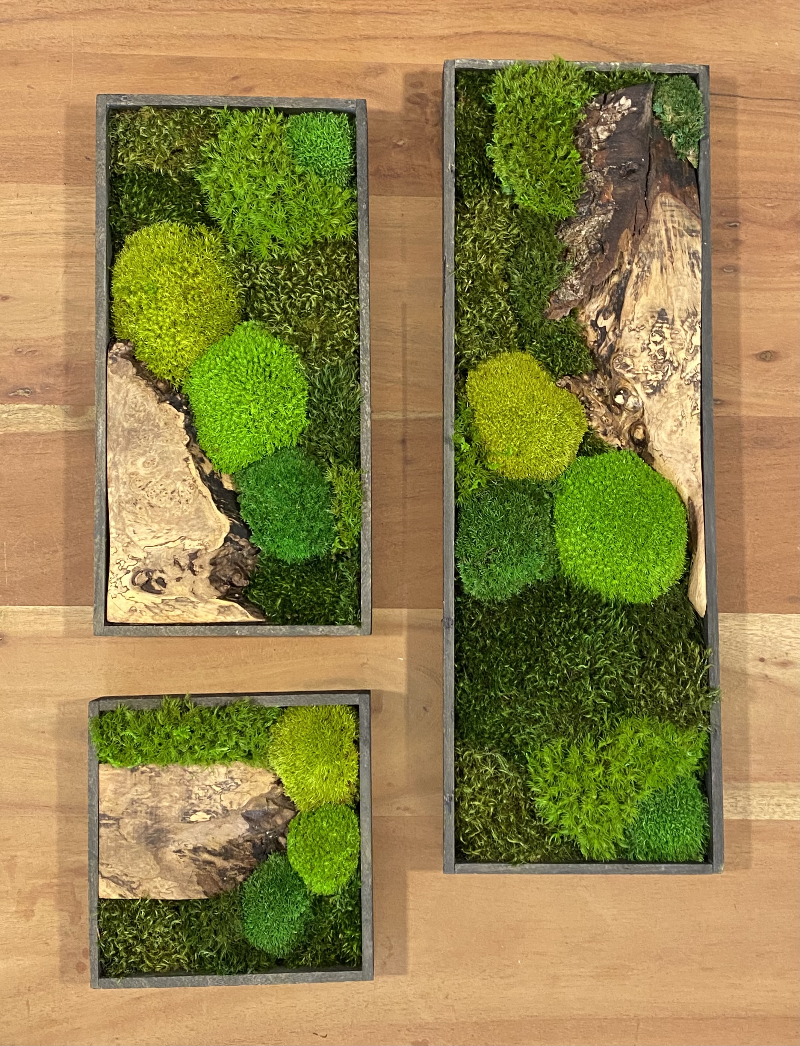 Mos schilderijen / set van drie (1A/1B/1C)