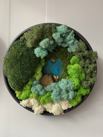 Mosschilderij cirkels
