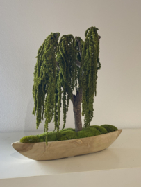 Mosboom - Amaranth Mosboom - Xl