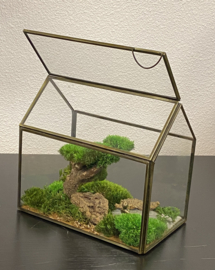 Mini landschap in glazen huisje