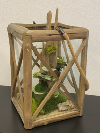 Groot windlicht mos creatie