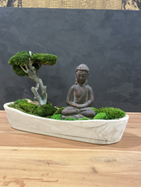 Boedha in a Mossforest