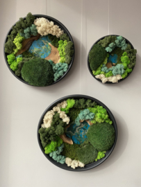 Mosschilderij cirkels
