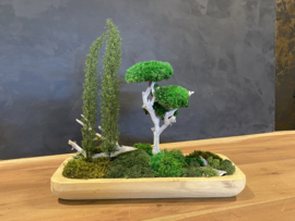 Naturel houten schaal (boompjes)