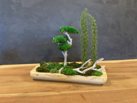 Naturel houten schaal (boompjes)