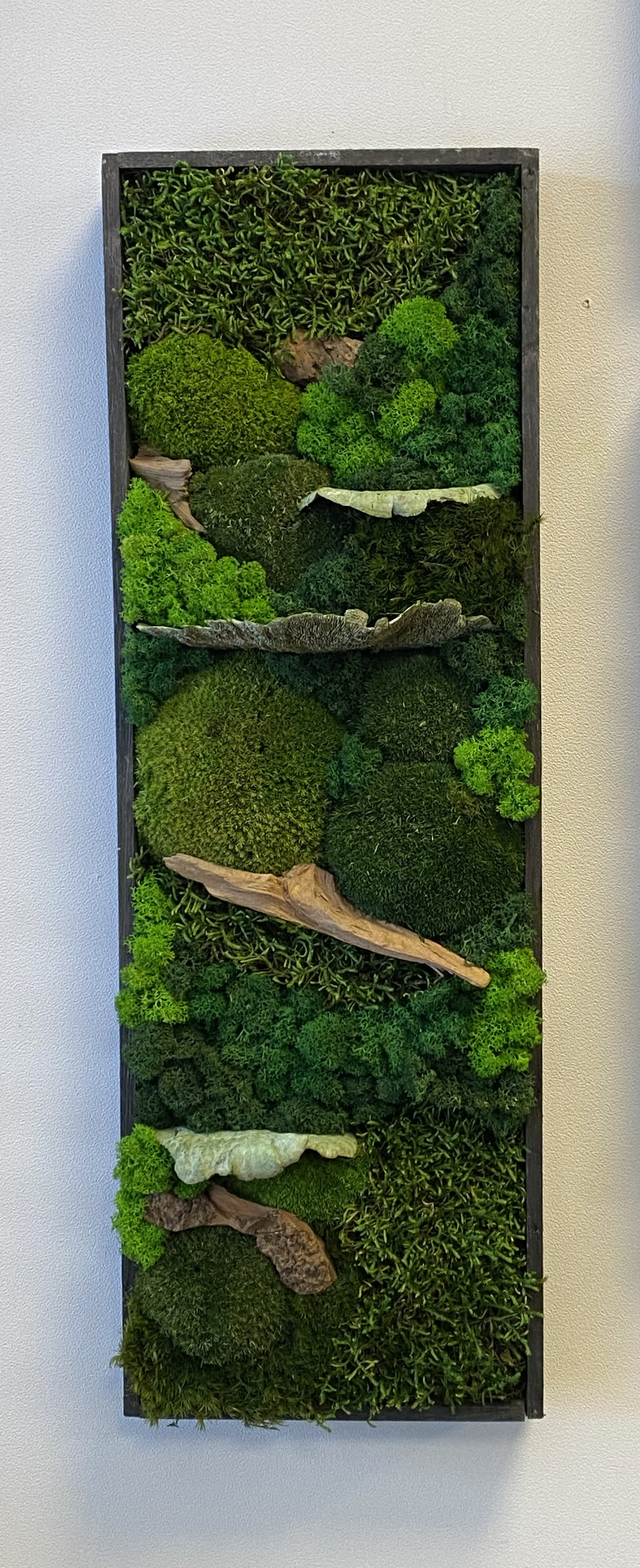 Mos schilderijen / set van drie