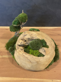 Decoratieve halve teak houten bol