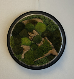 Mosschilderij - Tijdloos Groen (2)