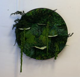 Mos schilderij (rond) nature