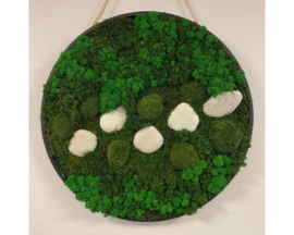 Mosschilderij / rond (70)