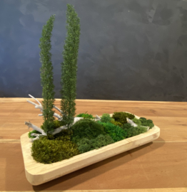 Naturel houten schaal (boompjes)