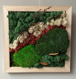 Mosschilderij vierkant (10)