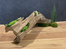 Boomstam tafel decoratie (2)