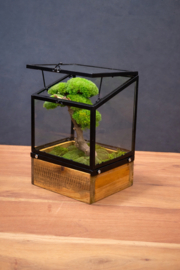 Mini windlicht met mosboompje (2)