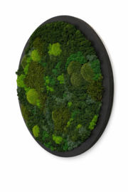 Mosschilderij - Natuurcirkel