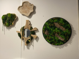 Mosschilderij rond zwart frame
