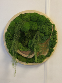 Mos schilderij rond (3)