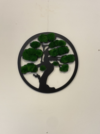 Levensboom (9)