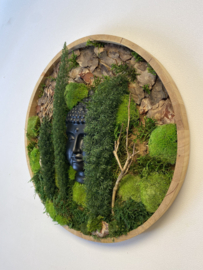 Mosschilderij met Boedha