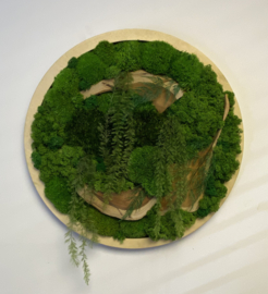 Mosschilderij / rond (38)