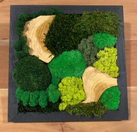 Mosschilderij vierkant (10)