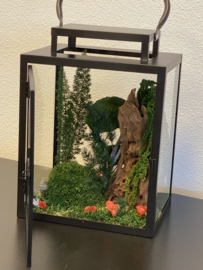 Windlicht met mini jungle