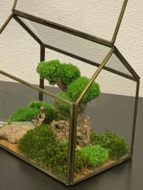 Mini landschap in glazen huisje