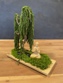 Mosboom - Amaranth Mosboom Medium (2)