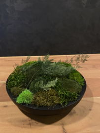 Keramieken mos schaal