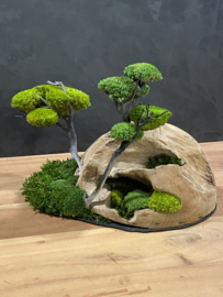 Decoratieve houten halve bol (1)