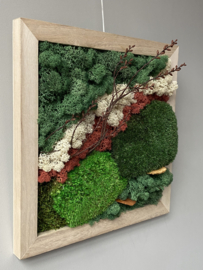 Klein mosschilderij met naturel houten lijst