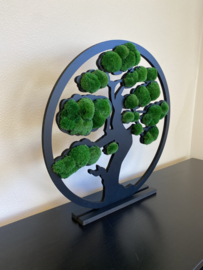 De Levensboom (bolmossen)