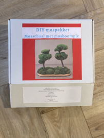DIY Mosschaal met boompjes (2)