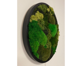 Mos schilderij rond (2)