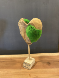 Houten hartjes met mos op standaard