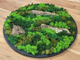 Mosschilderij rond zwart frame