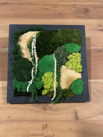 Mos-schilderij (1)